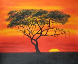 Savannah Sunset