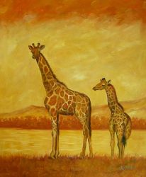 Giraffes in Yellow Savannah